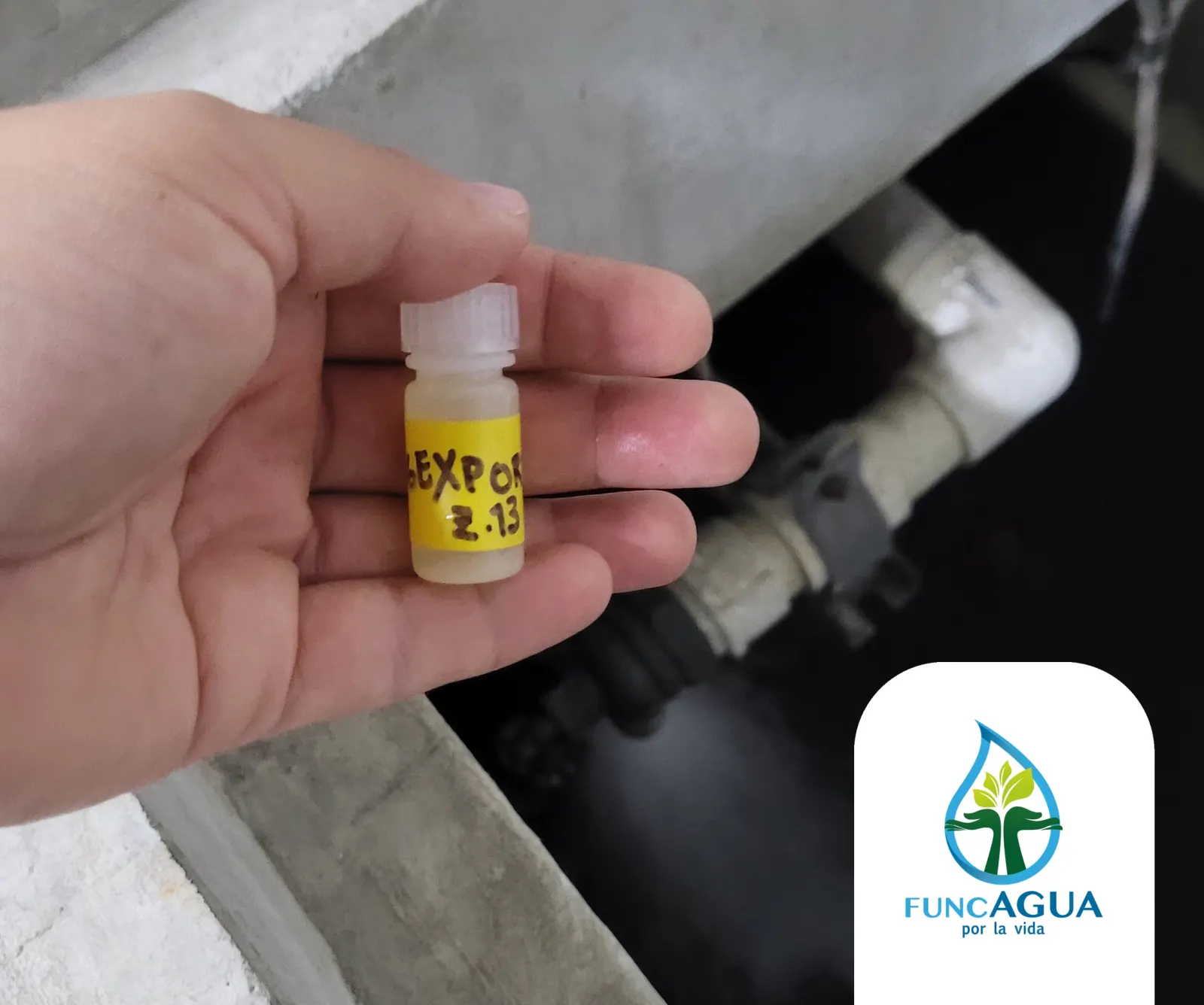 Muestra recolectada para análisis de isótopos del agua