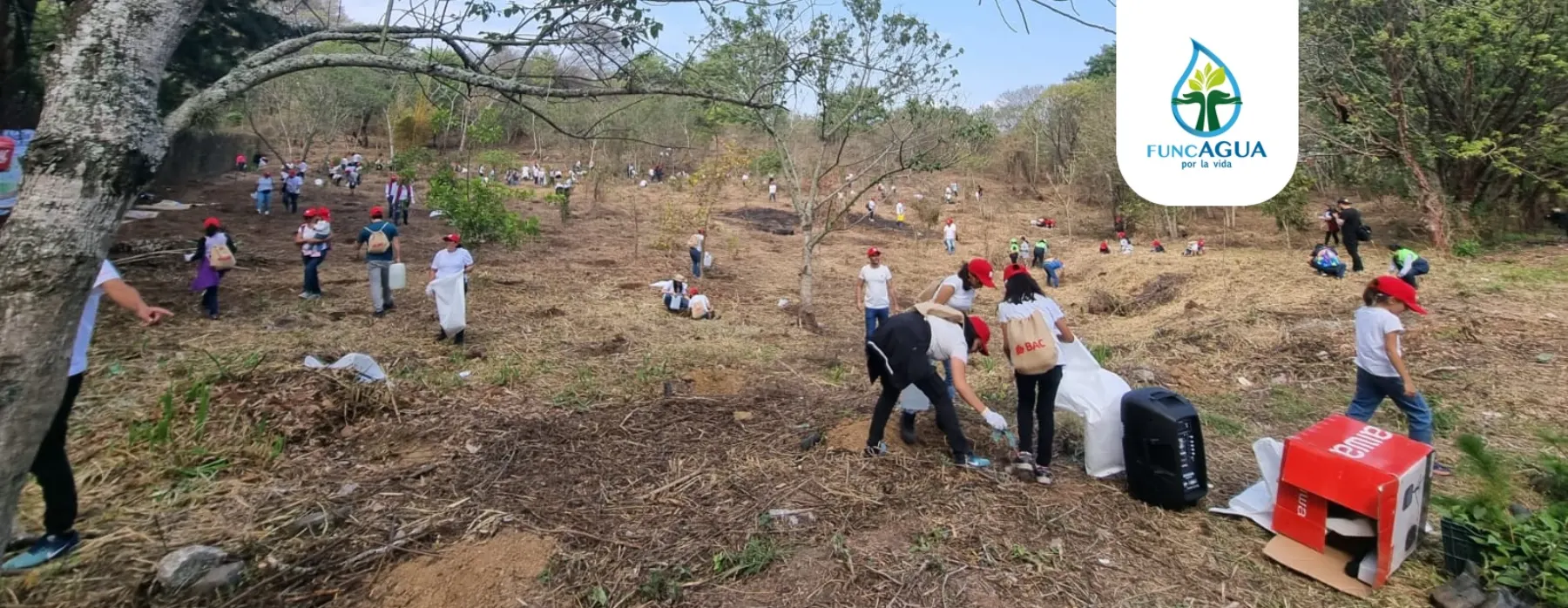 Personas participando en una jornada de reforestación
