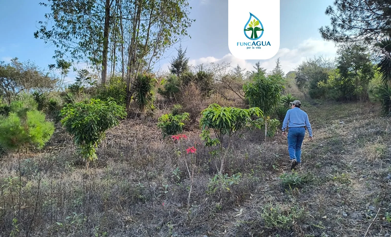Proyecto de FUNCAGUA: Water Replenishment con PepsiCo
