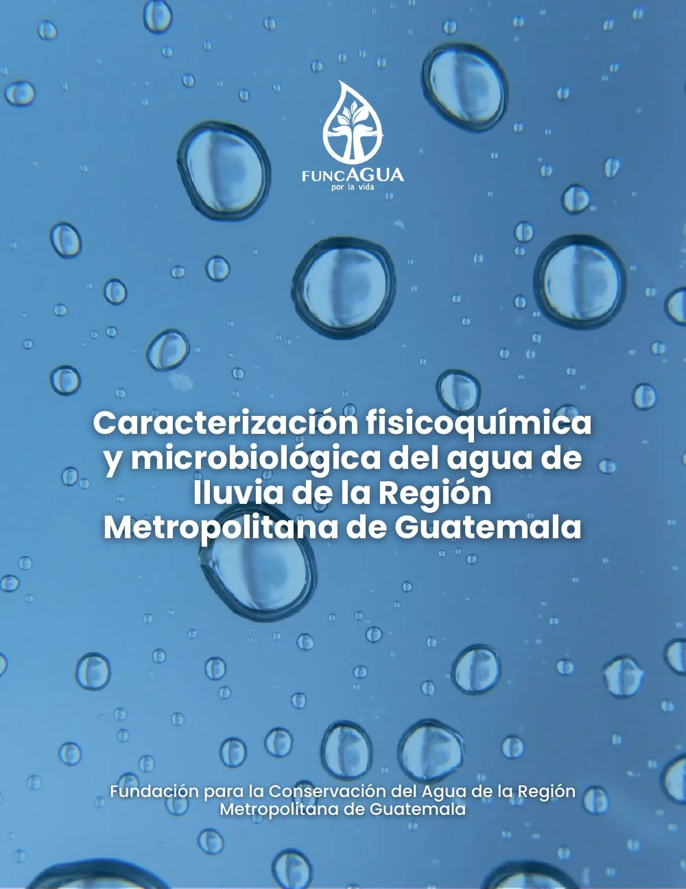 Portada de Caracterización del agua de lluvia de la Región Metropolitana