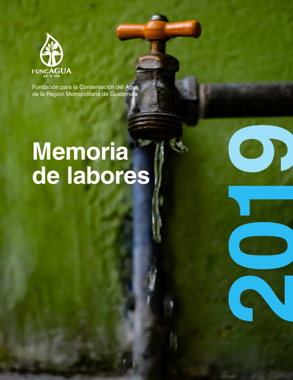 Portada de Memoria de Labores 2019