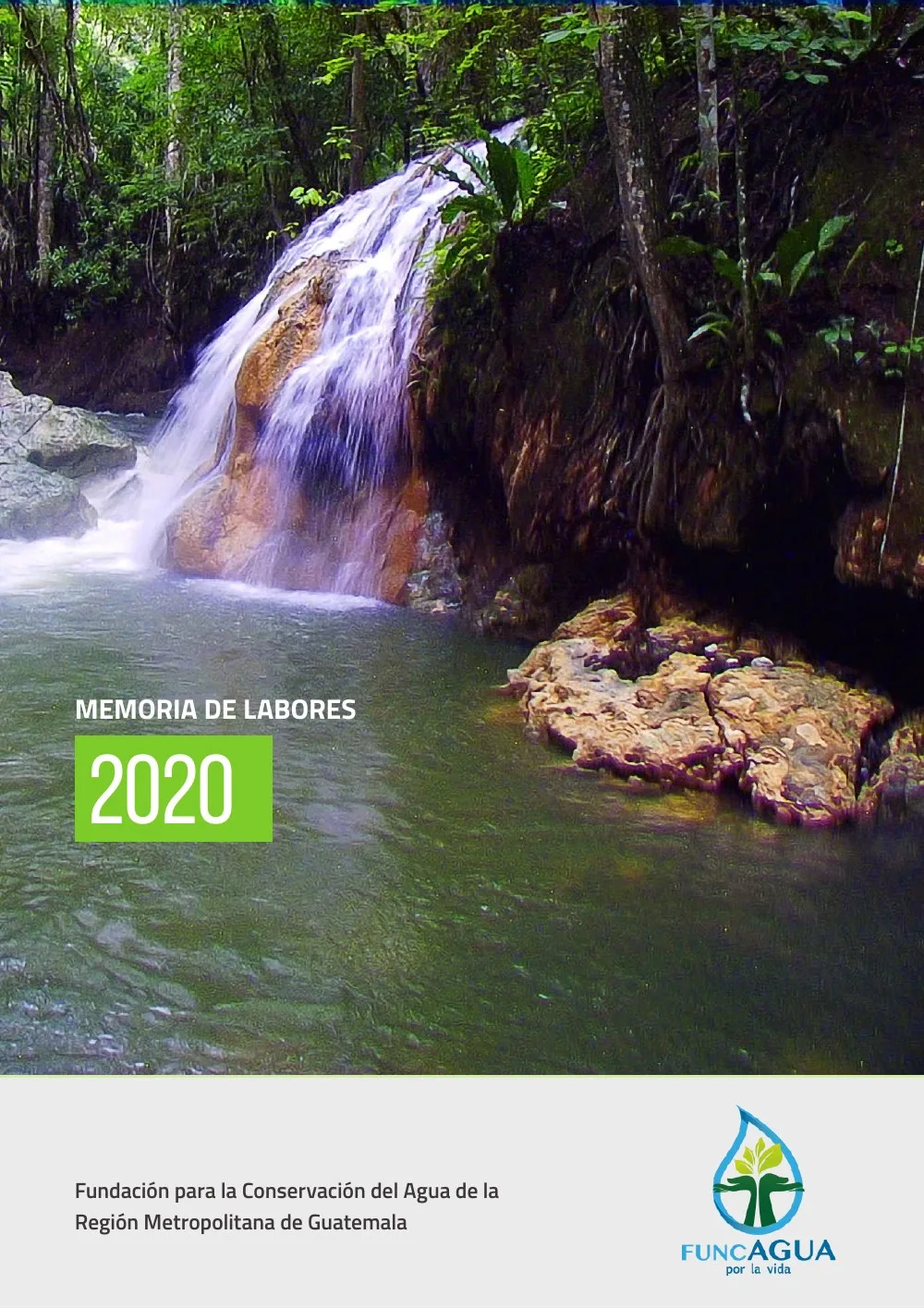 Portada de Memoria de Labores 2020